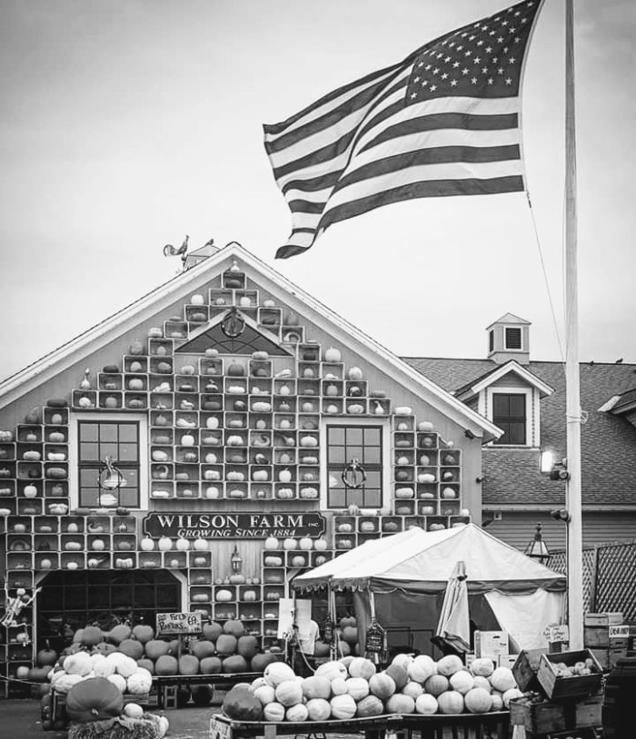 facebook_15722035489922