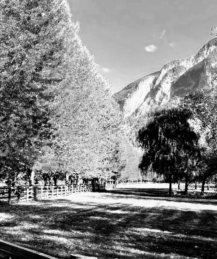 facebook_15722352540012