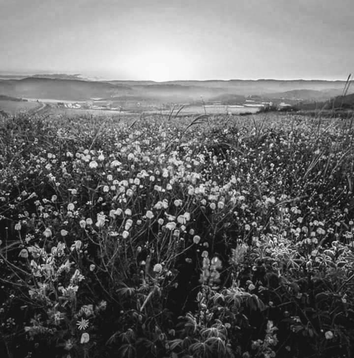 facebook_15726580382682