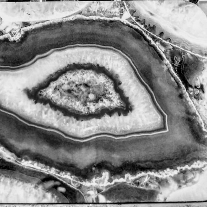 facebook_15728261434272