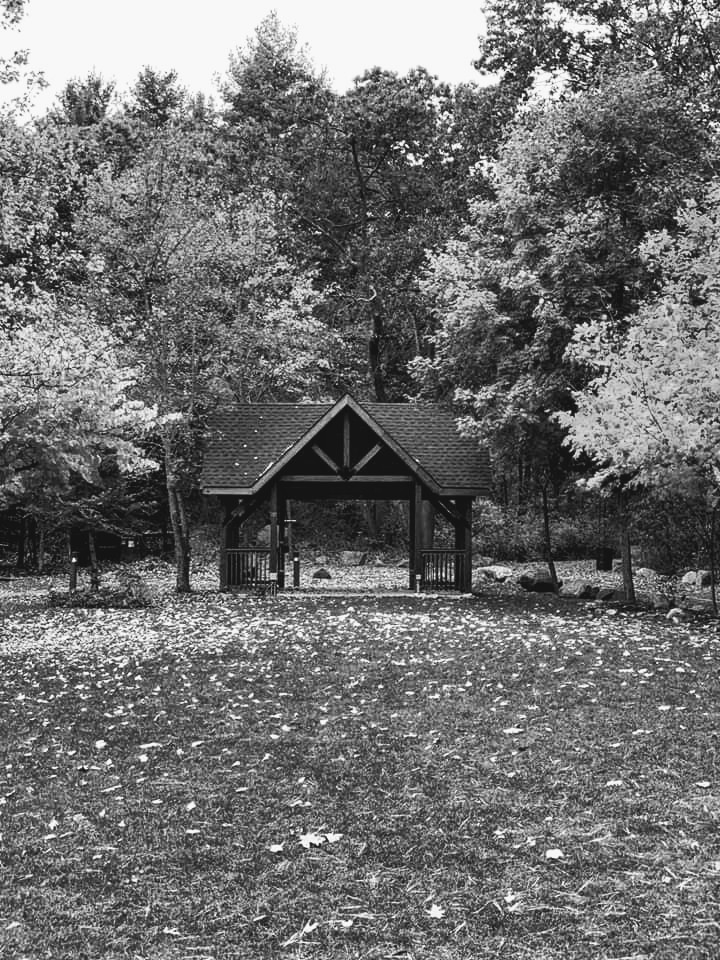 facebook_15732817573422