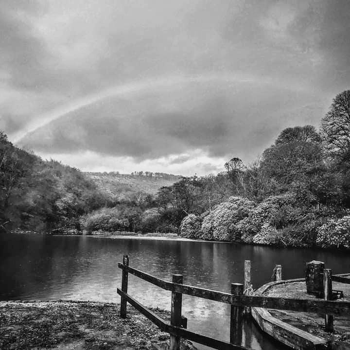 facebook_15736749554462