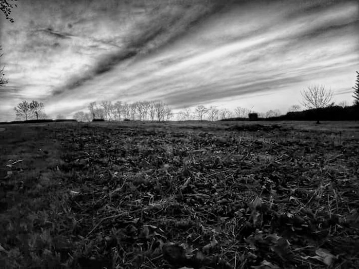 facebook_15742839761792