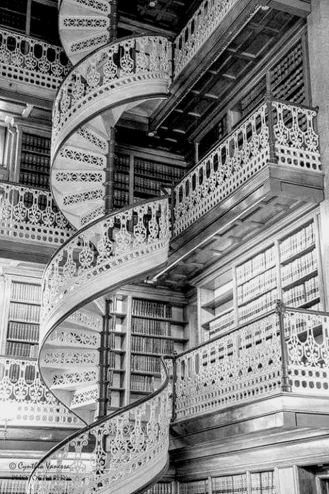 facebook_15744761506992