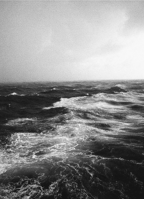 facebook_15744782138542