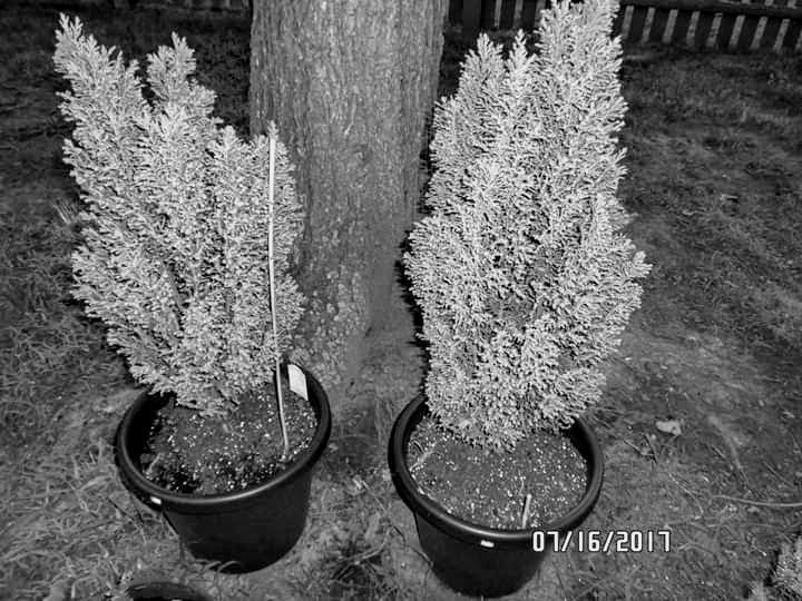 facebook_15749104328012