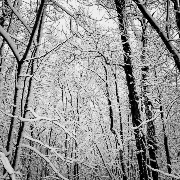 facebook_15754761580542