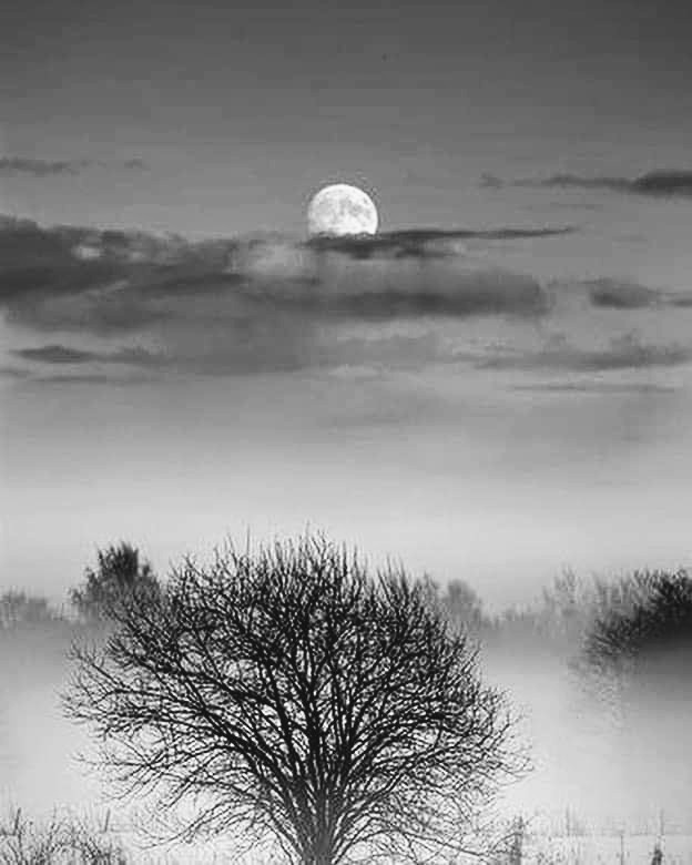 facebook_15762655947872