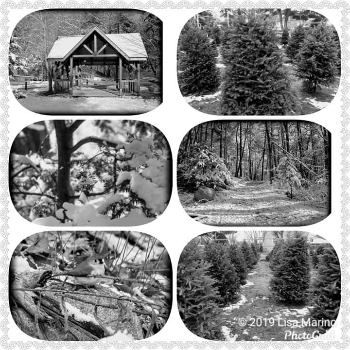 facebook_1576567780460