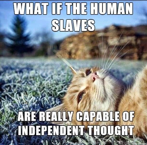 img_20200206_210611_836