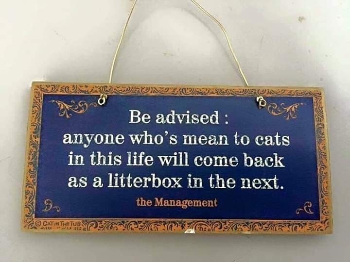 img_20200208_063608_126