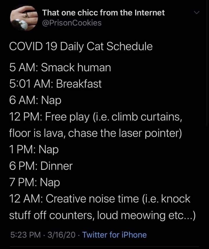 facebook_1585150724385