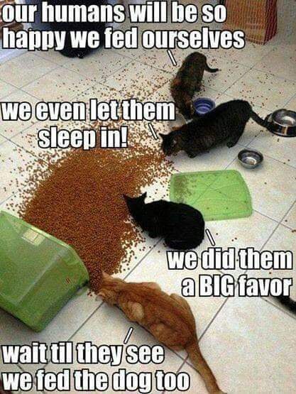 facebook_1585406844807