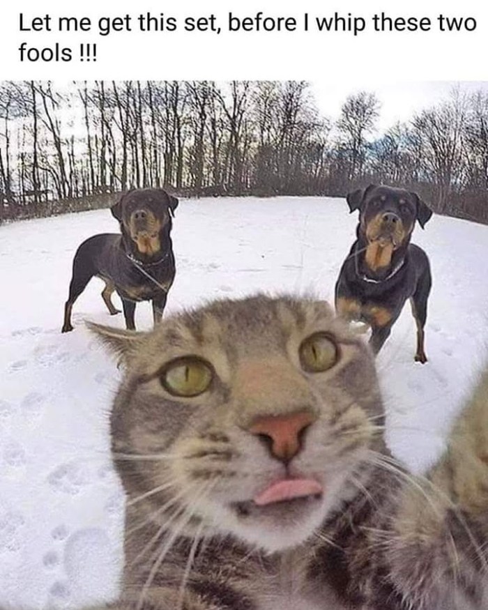 img_20200310_145113_710