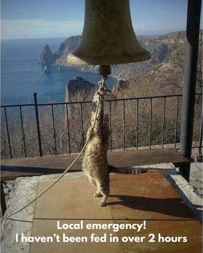 img_20200314_132531_026