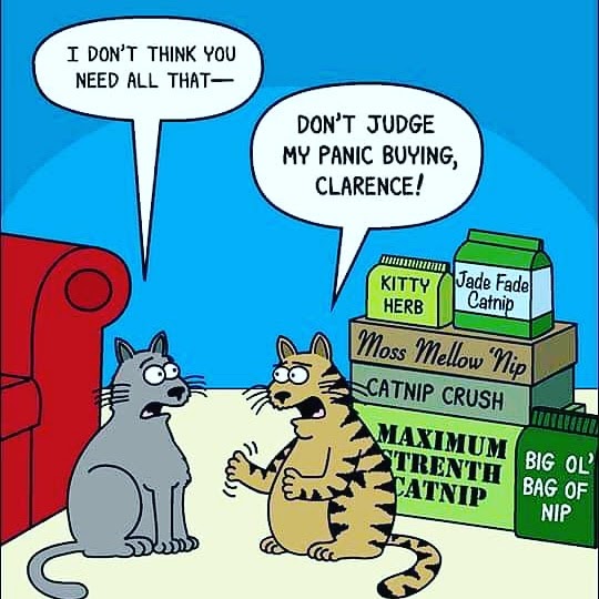 img_20200314_132739_260