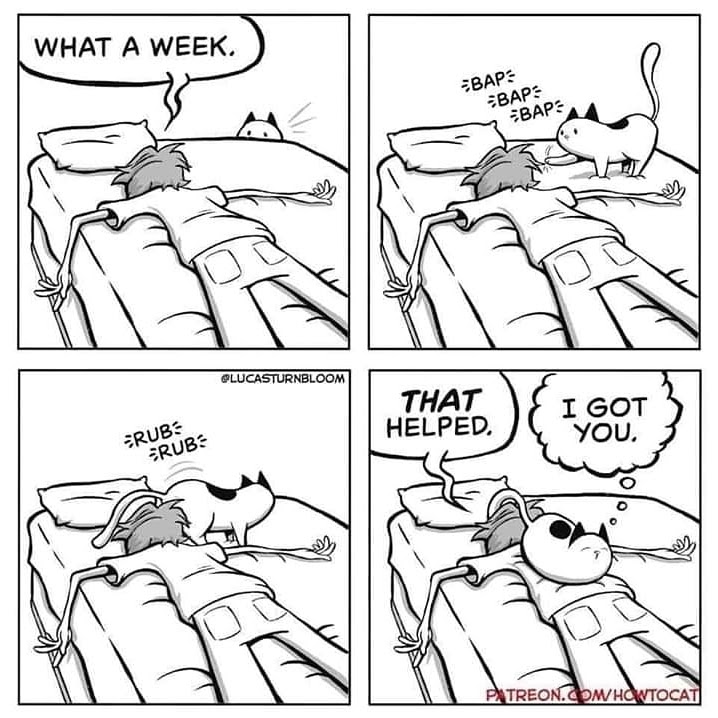 img_20200314_165420_850