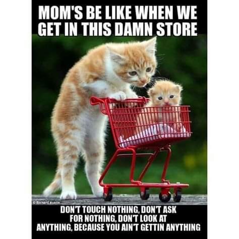 facebook_1586604402403