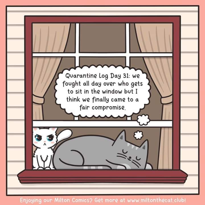 facebook_1587182110938_6657124276637405120