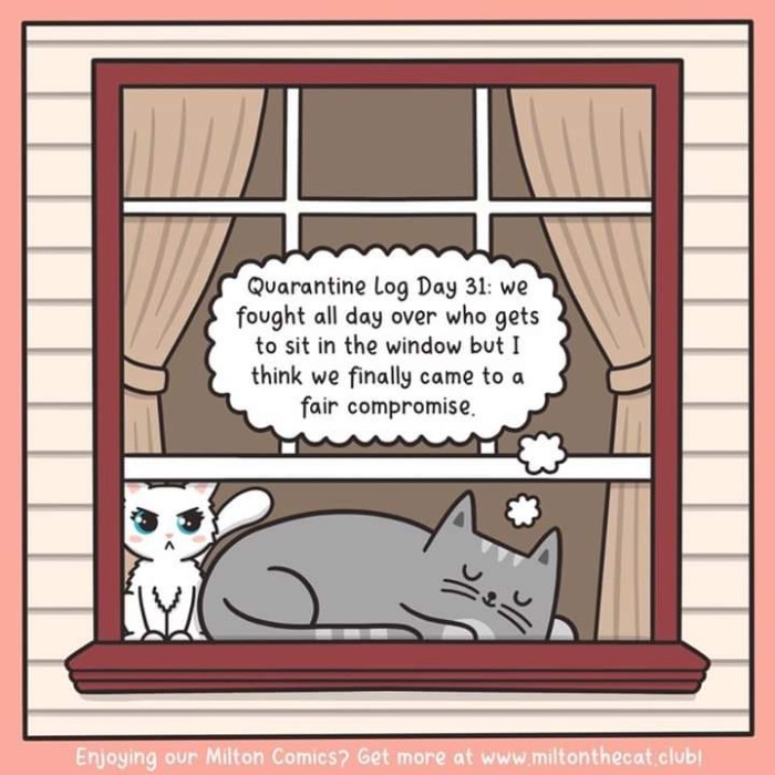 facebook_1587182110938_6657124276637405120