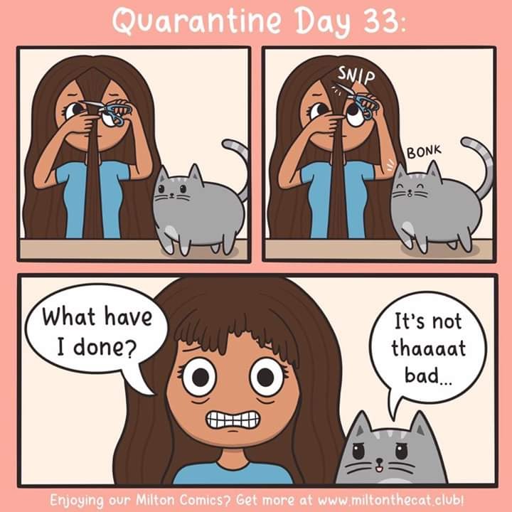 facebook_1587182739025_6657126911026773759