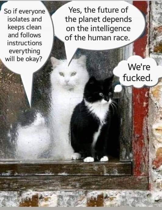 facebook_1587298888818_6657614078564997273