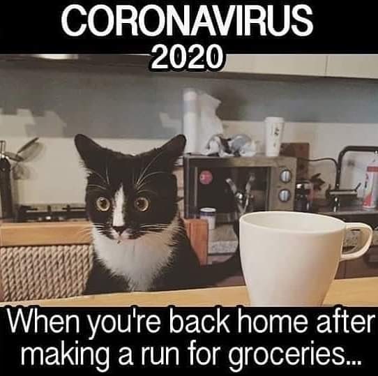 img_20200412_131746_021