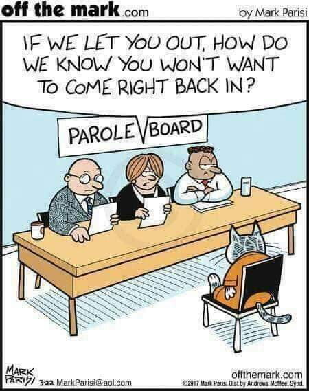 facebook_1586789609029