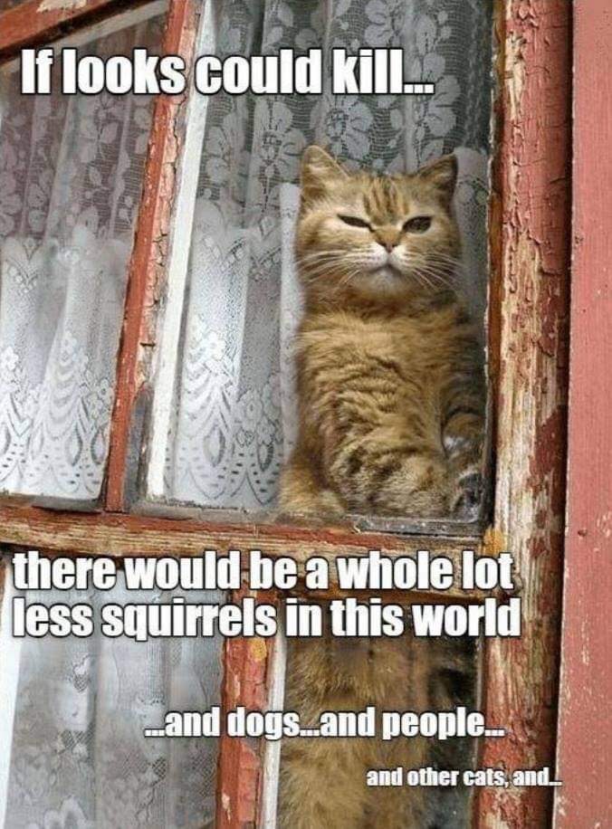 facebook_1586920173495