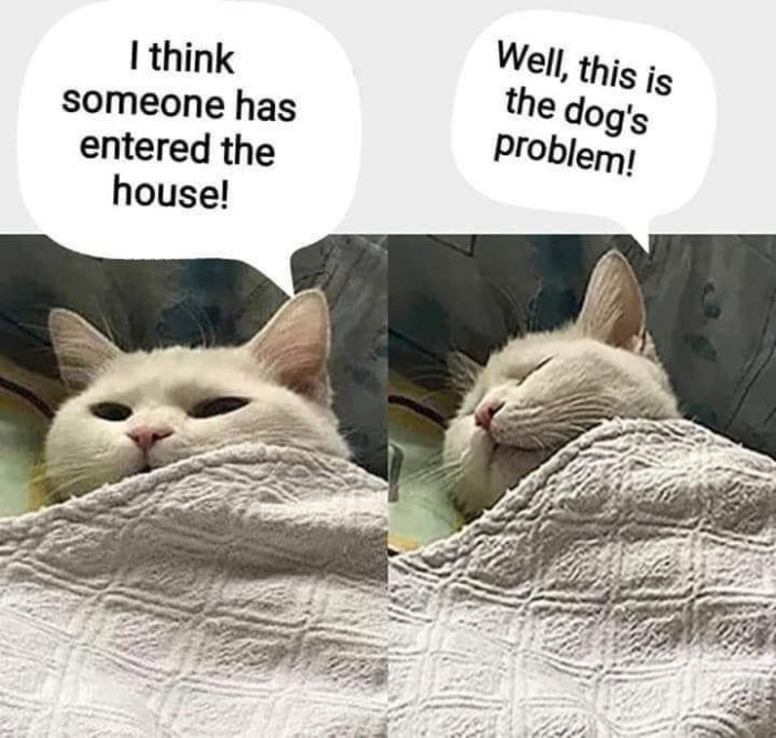 facebook_1588639717490_6663237921629904587