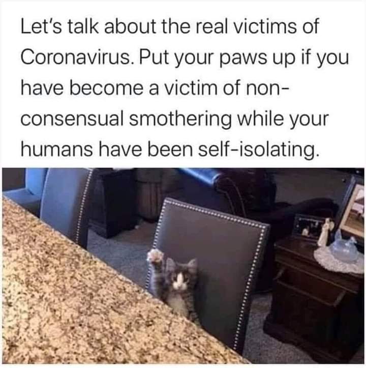 facebook_1589088218630_6665119071754936242