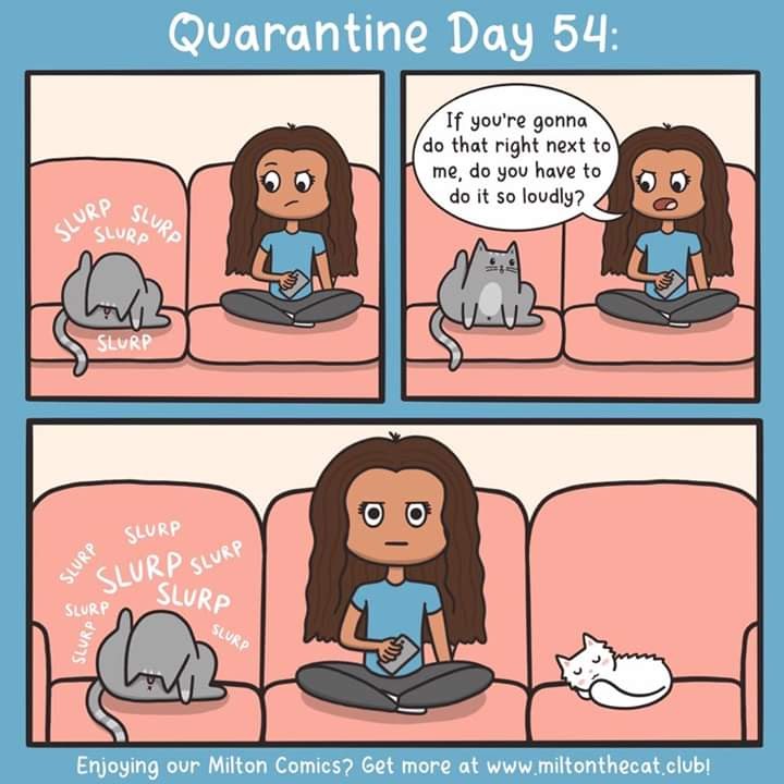 facebook_1589098840683_6665163623874243688