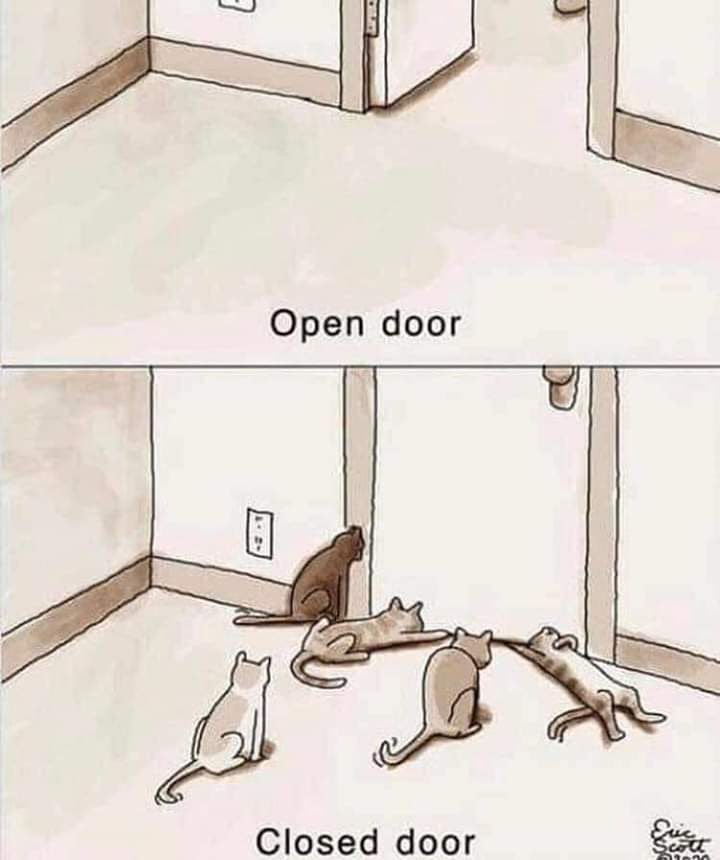 facebook_1589183591258_6665519093549265210