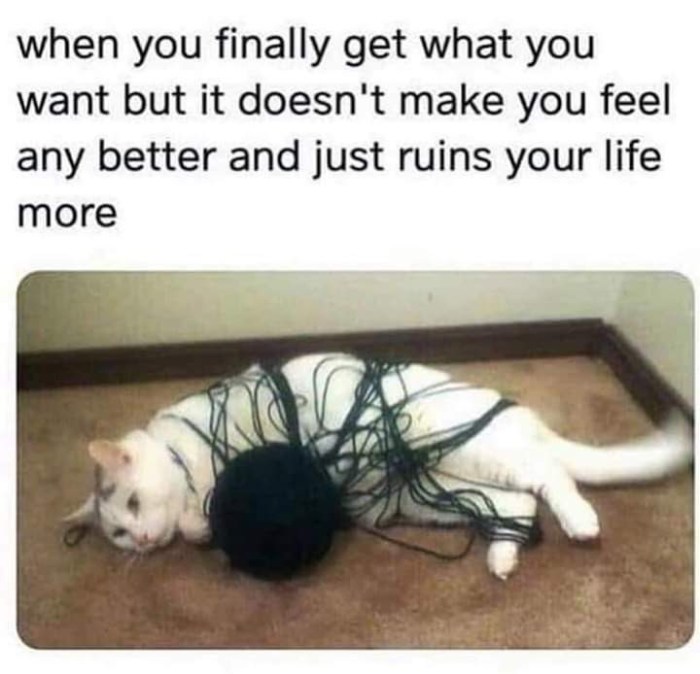 facebook_1589397141614_6666414788663113010