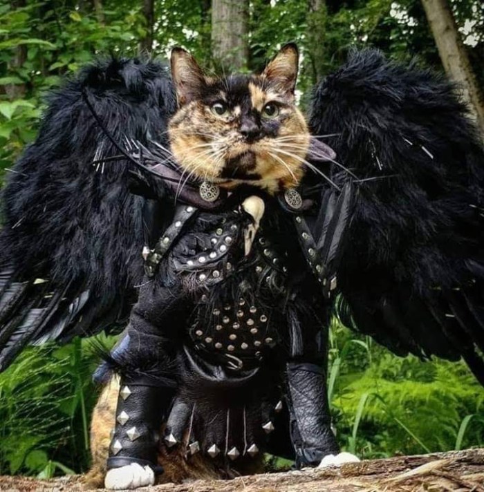 facebook_1589631371451_6667397219814834099