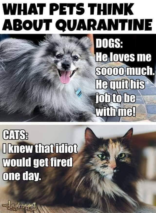 facebook_1589635781203_6667415715645068459