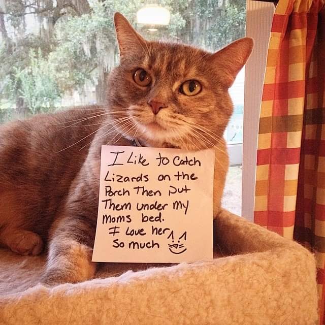 facebook_1589773882592_6667994954852904350