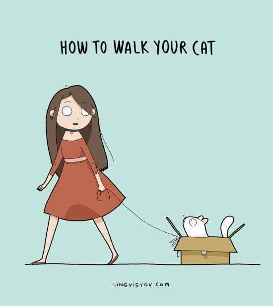 facebook_1589861618010_6668362943868778992