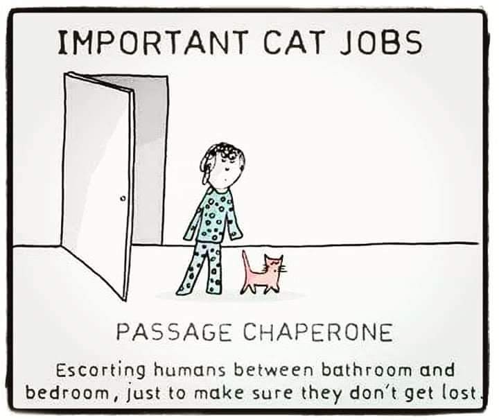 facebook_1590043420625_6669125479303912303