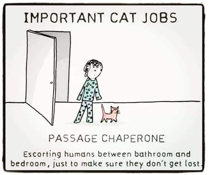 facebook_1590043420625_6669125479303912303