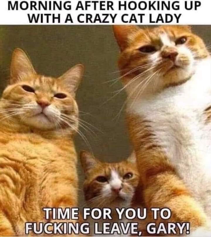 facebook_1590612759277_6671513458686955499