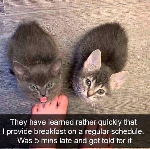 facebook_1590627622449_6671575799355222675