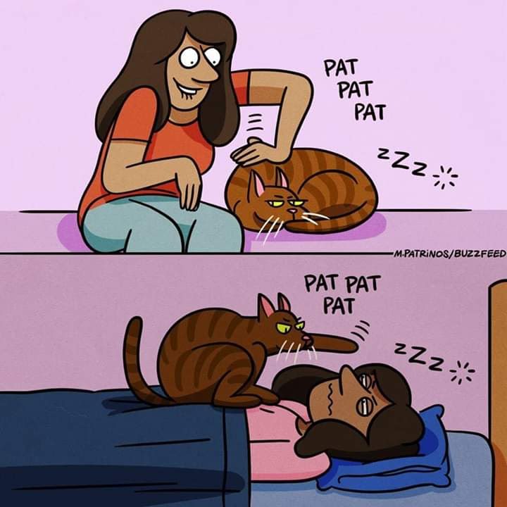 facebook_1590682135986_6671804445694884681