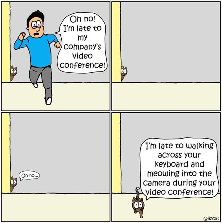 facebook_1590777913860_6672206167215708672