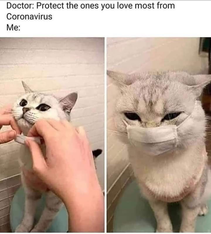 img_20200428_213442_078