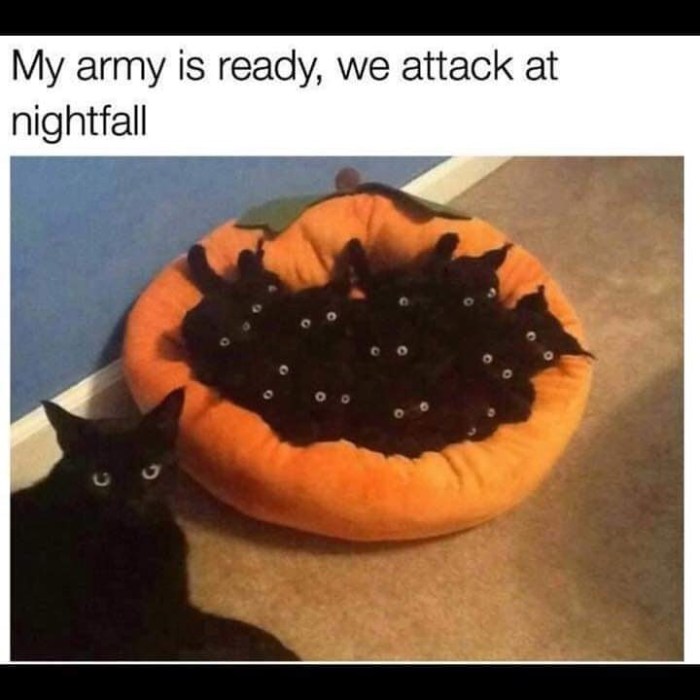 img_20200501_190955_714