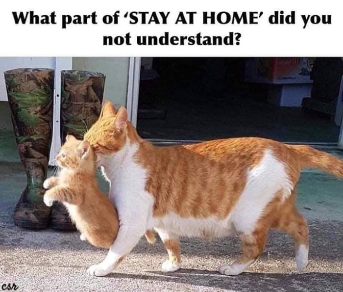 img_20200502_160419_969