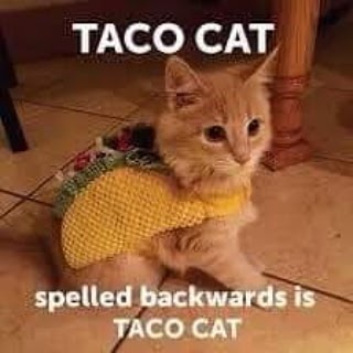 img_20200505_161006_952