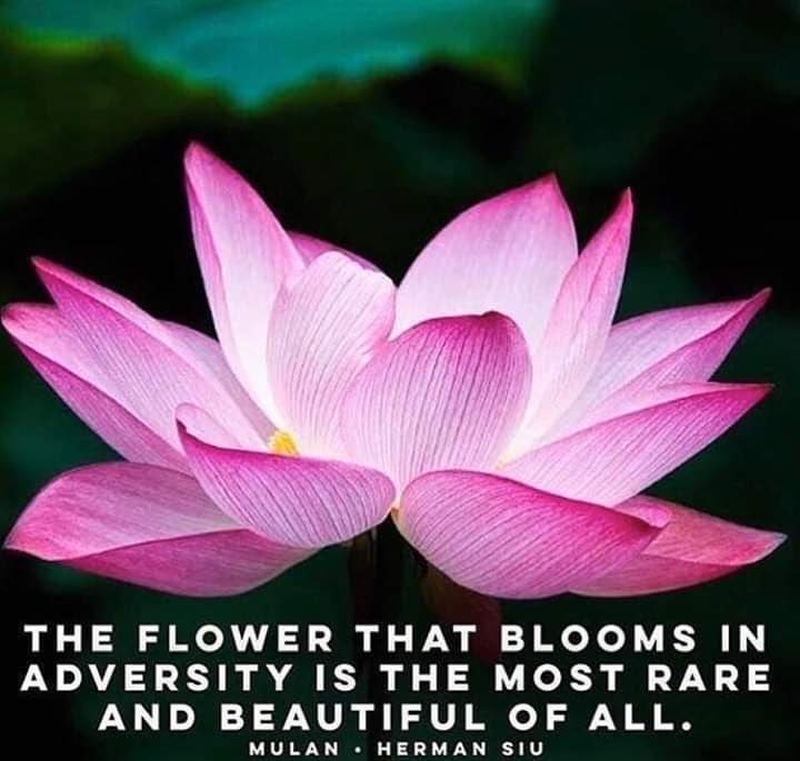 img_20200509_173839_469