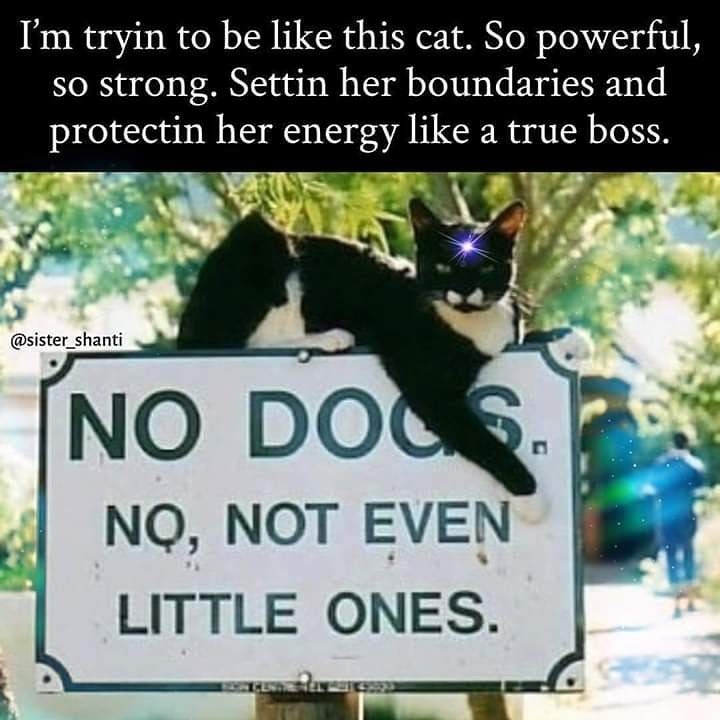 img_20200509_214956_180